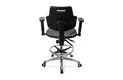 Custom Science Lab Stools with Backs Company 6